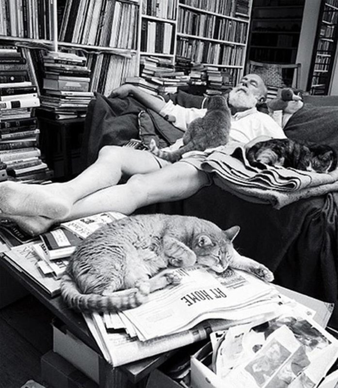 Edward Gorey and his cats